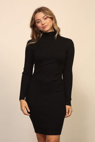 Raina Turtleneck Sweater Dress